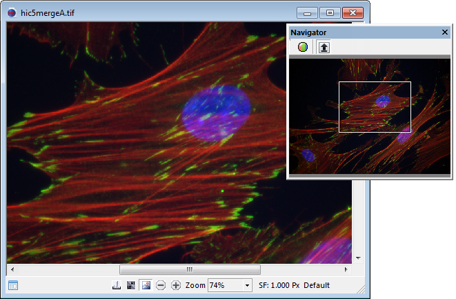 Image Navigator